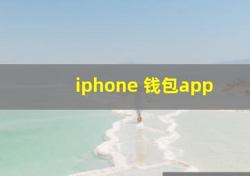 iphone 钱包app